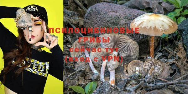 mdpv Сосновоборск