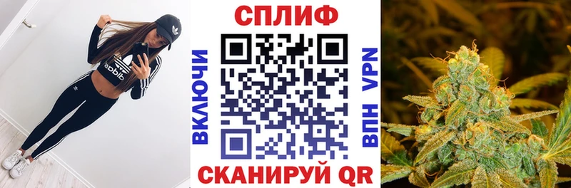 Конопля сатива  Купить закладки  Ессентукская 